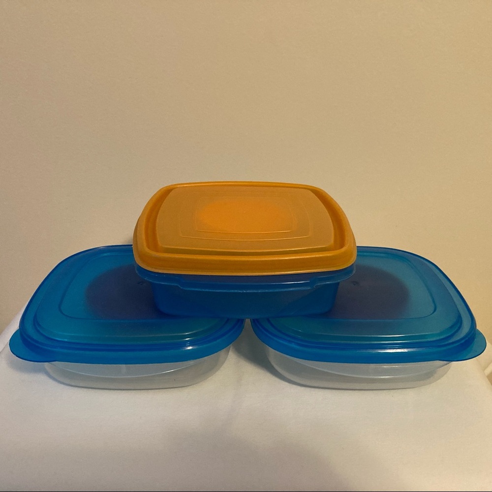 Set Of Three Plastic Lunch/Take Along Containers With Separate Dip Container